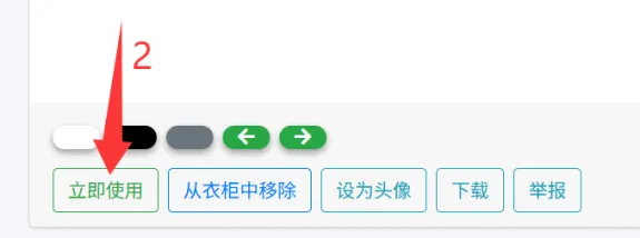 使用公开皮肤2